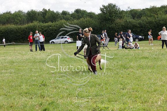 110931-IMG_2710