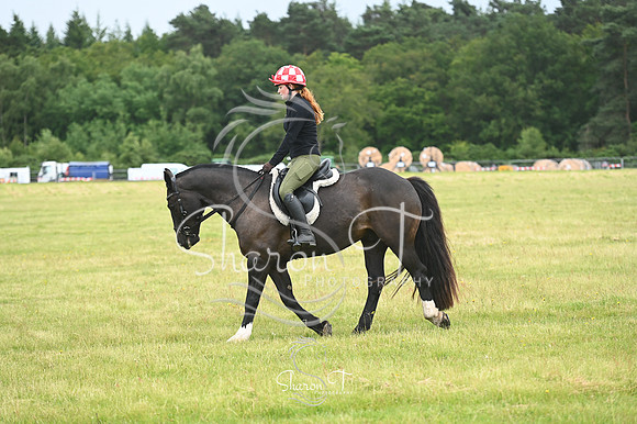 STP_0930