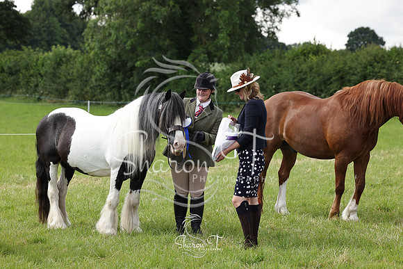 105146-IMG_2621