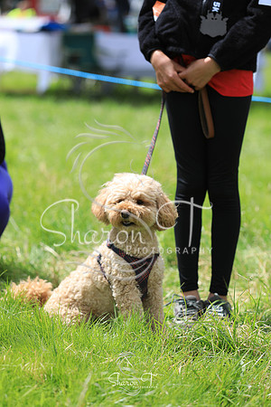 130356-JOB_6555
