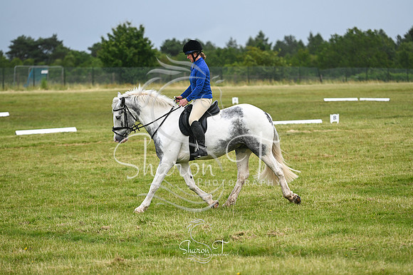 STP_0944
