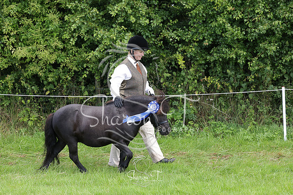 112809-IMG_5720