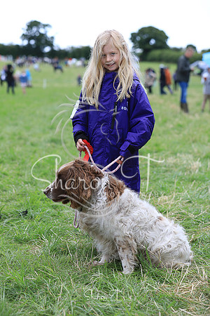 133905-JOB_6620