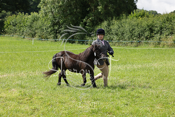 103702-IMG_2520