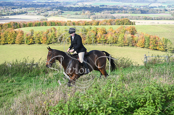 STP_4623