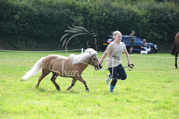 100036-DSC_0991