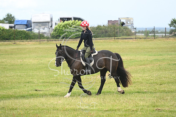 STP_0942