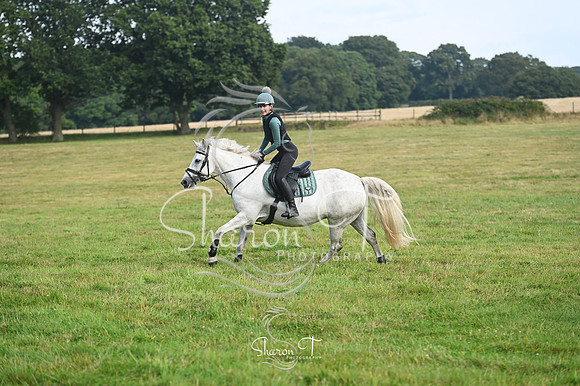STP_0994