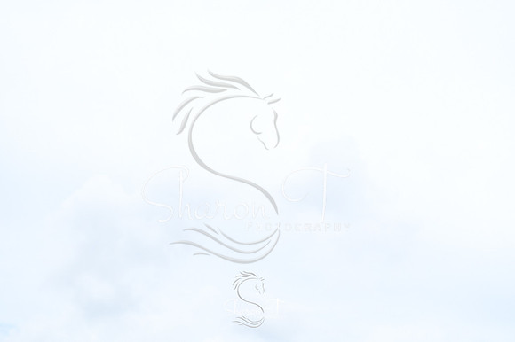 133404-STP_5247