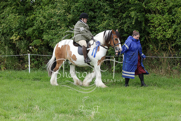 111006-IMG_5622