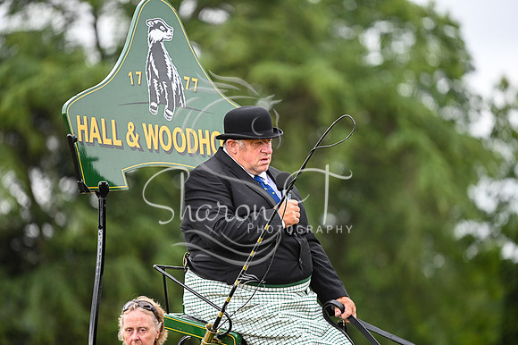 DSC_1957