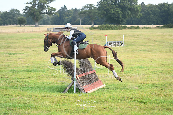 STP_0967