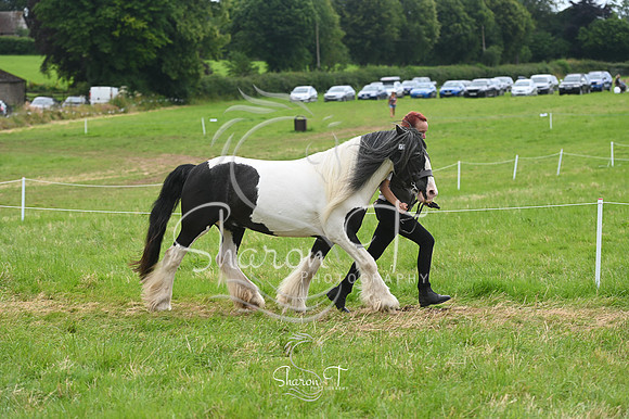 130057-STP_5150