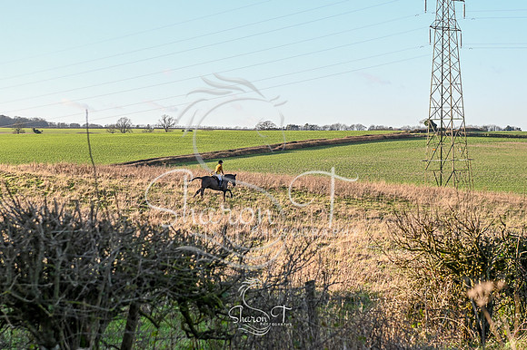 STP_8629