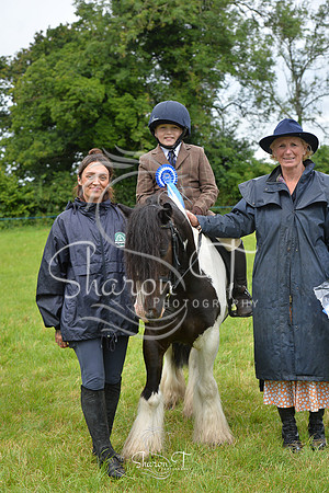 110834-DSB_0964