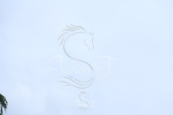STP_5682