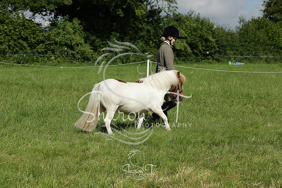 094329-IMG_7060
