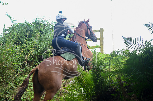 STP_0948