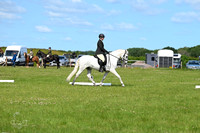 Dressage