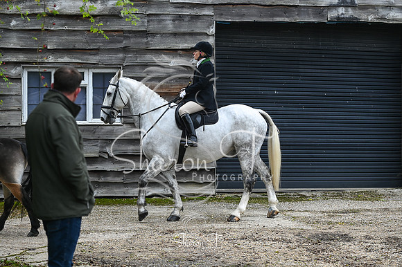 STP_3417