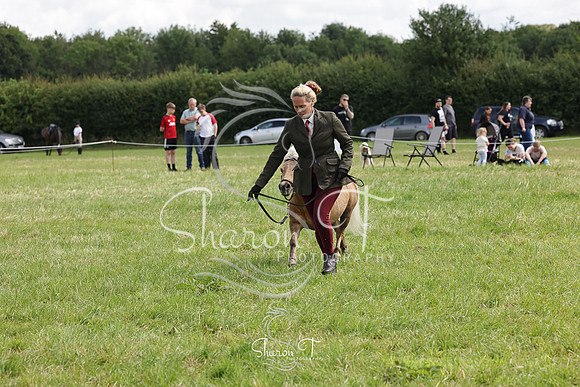 110931-IMG_2712
