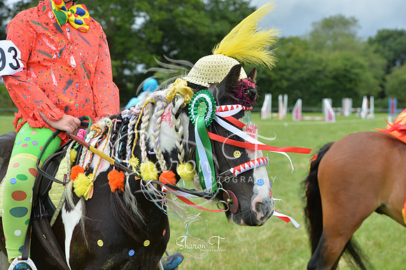 130532-DSB_1187