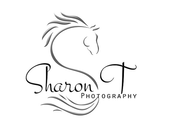 Sharon T black