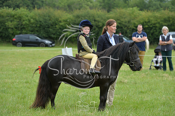 120856-DSB_1612