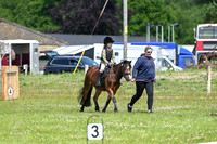 STP_8934