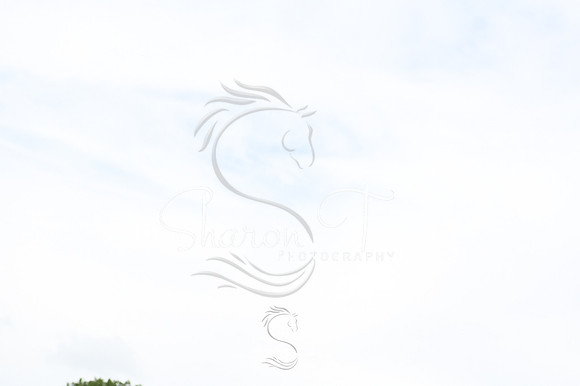 142706-STP_5363