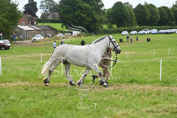 130148-STP_5155