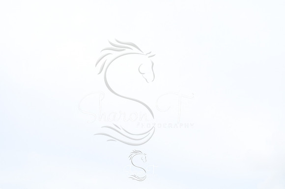 132413-STP_5225