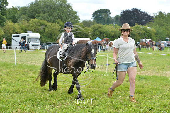 120722-DSB_1605