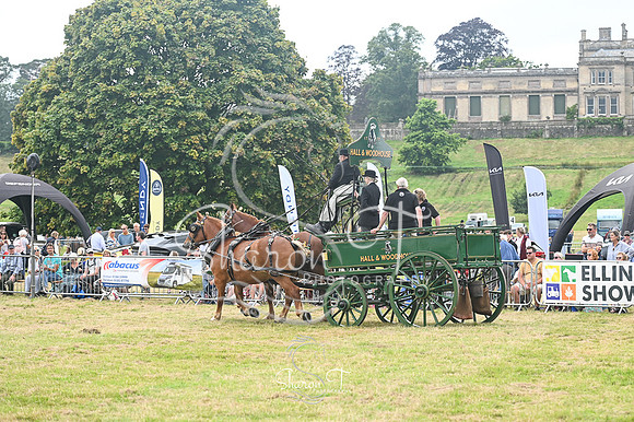 STP_6954