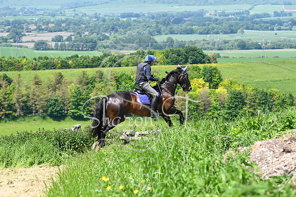 STP_8408