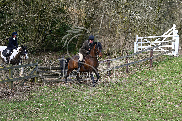 STP_0976