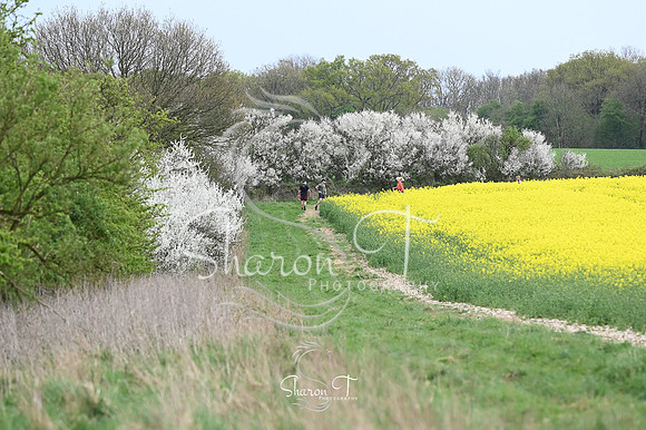 STP_2738