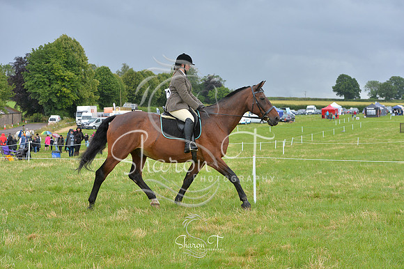 111214-DSB_0984