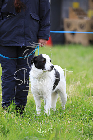 121508-JOB_6447