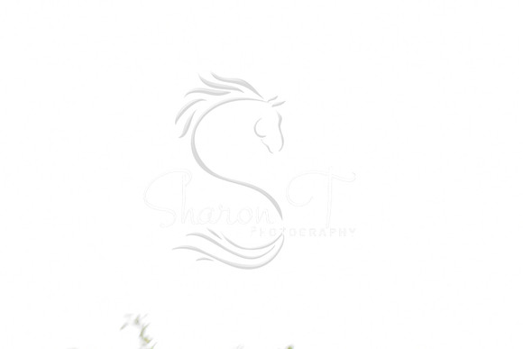 _DSC0504