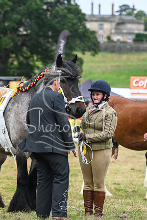 STP_5903