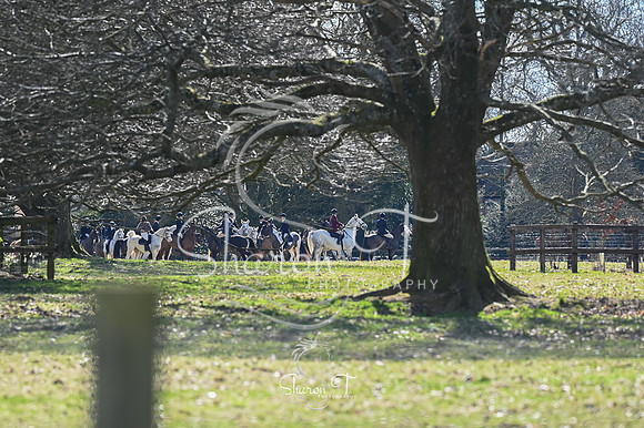 STP_0442