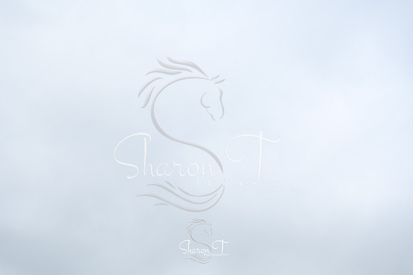 STP_6076