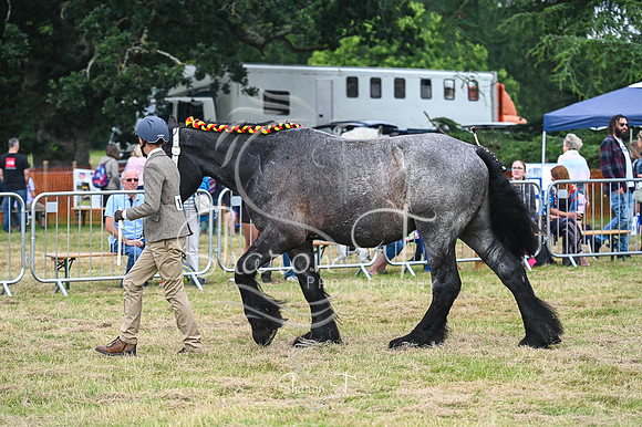 STP_5837