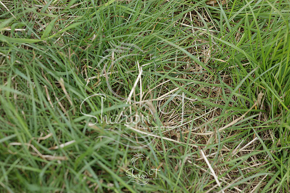 123050-IMG_5943