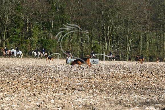STP_0821