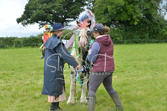 130350-DSB_1180