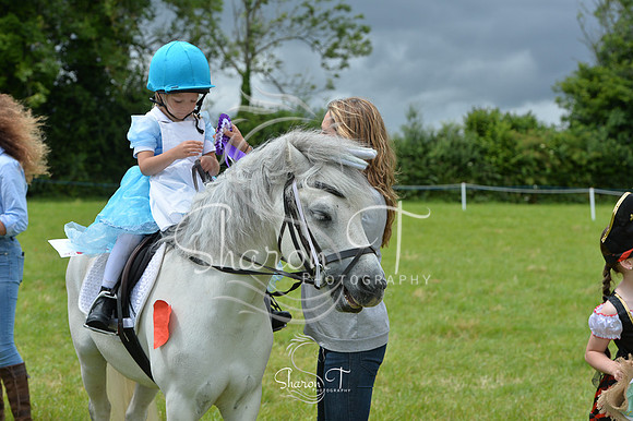 130644-DSB_1189