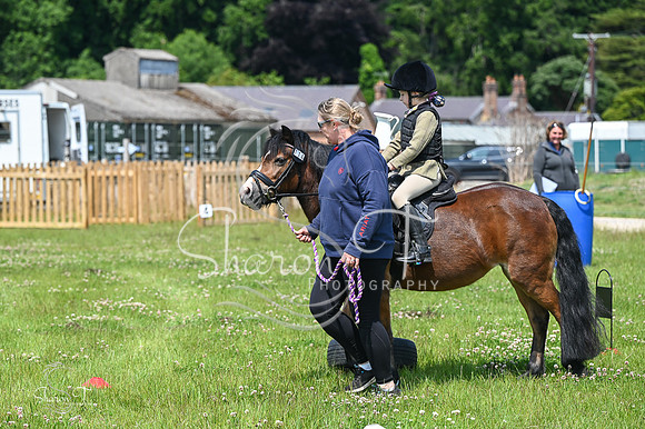 STP_8983