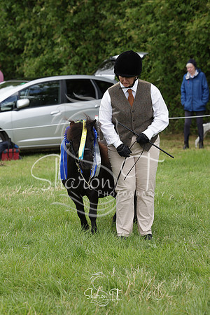 122936-IMG_5937